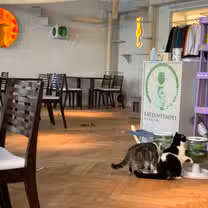 Una foto del restaurante Katzentempel Rosenheim