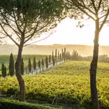 Tuscan Wine Dinner with Tenuta Larnianone foto