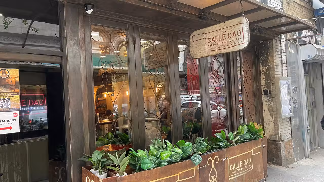Calle Dao - Bryant Park, New York, NY